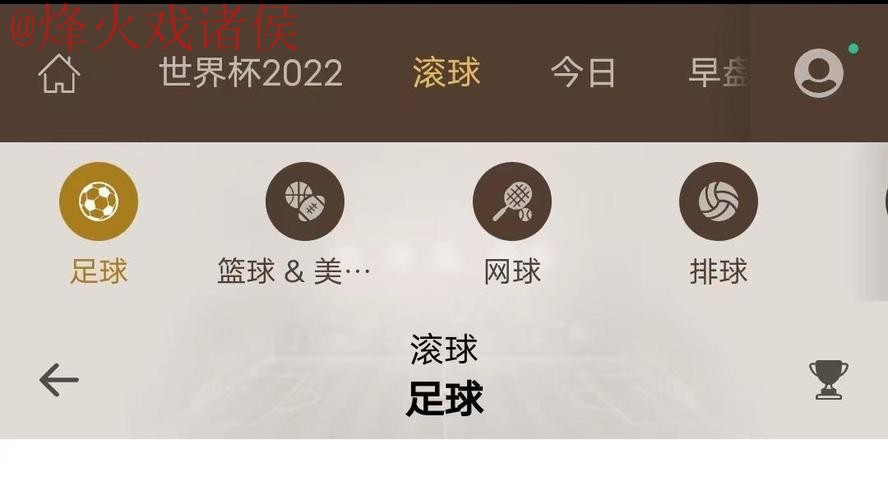 如何安全访问世界杯滚球入口官方平台